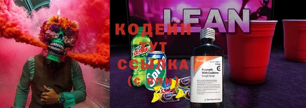 прущий лед Ельня
