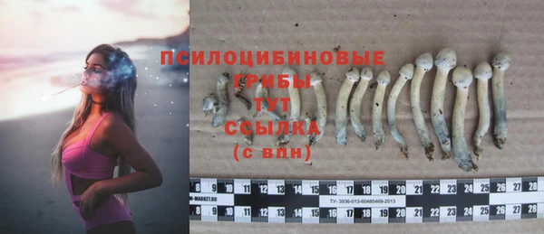прущий лед Ельня