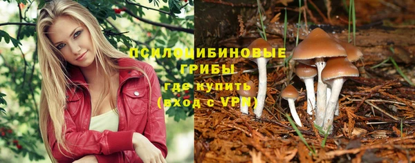 прущий лед Ельня