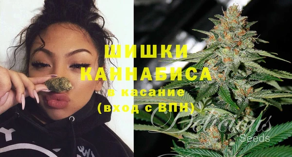 прущий лед Ельня